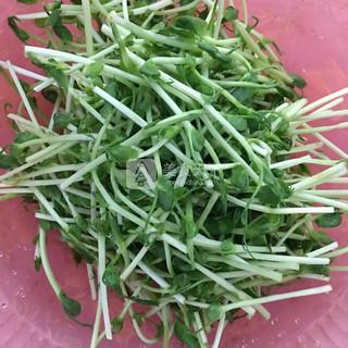 肉末<a href=/shicai/shucai/DouMiao/index.html target=_blank><u>豆苗</u></a><a href=/shicai/mimian/DouFu/index.html target=_blank><u>豆腐</u></a>汤