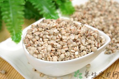 肠胃湿热吃什么