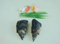 养生食谱大放送