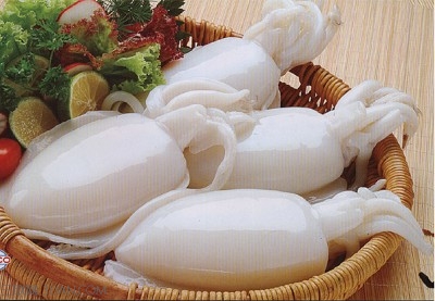 <a href=/shicai/shuichanpin/MoYu/index.html target=_blank><u>墨鱼</u></a>不能和什么一起吃