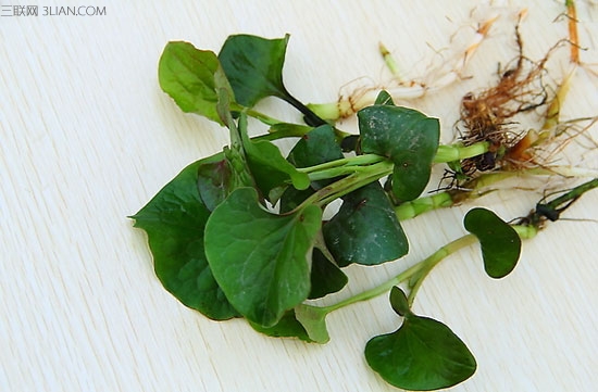 wukankangjuncaijiangkangpinganguojinxia