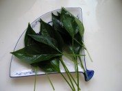 养生食谱大放送