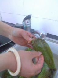 养生食谱大放送