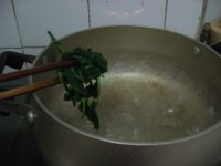 养生食谱大放送