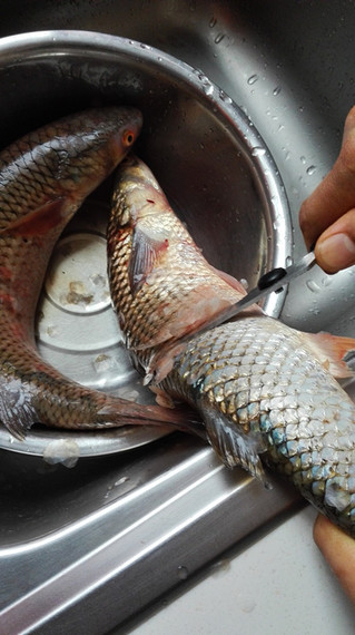 清炖<a href=/shicai/shuichanpin/SuoYu/index.html target=_blank><u>梭鱼</u></a>