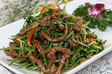 <a href=/shicai/shucai/XiangCai/index.html target=_blank><u>香菜</u></a>的做法