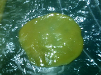 广式冬蓉五仁月饼