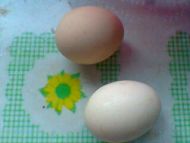 养生食谱大放送