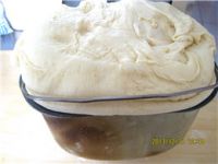 养生食谱大放送