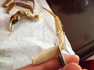 吃蟹