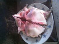 养生食谱大放送