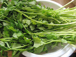 <a href=/shicai/rouqin/ZhuRou/index.html target=_blank><u>猪肉</u></a>香芹水饺