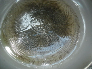 薄荷<a href=/shicai/mimian/DouZha/index.html target=_blank><u>豆渣</u></a>饼