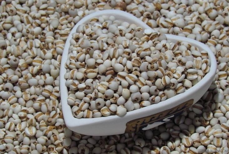 <a href=/shicai/mimian/YiMi/index.html target=_blank><u>薏米</u></a>的功效