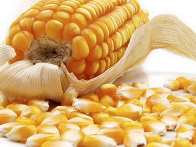 老年人脑<a href=/shicai/rouqin/Xue/index.html target=_blank><u>血</u></a>管堵塞有哪些饮食方