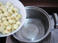 养生食谱大放送