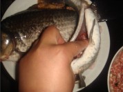 养生食谱大放送