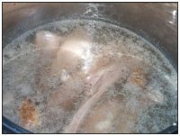 养生食谱大放送