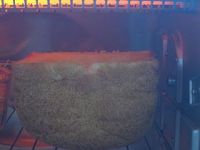 养生食谱大放送