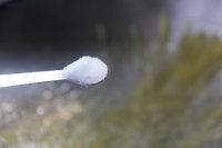 养生食谱大放送