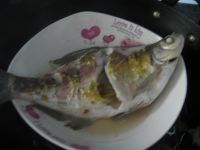 养生食谱大放送