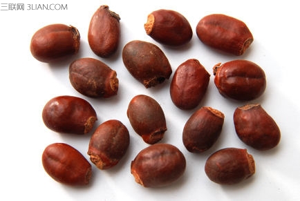 <a href=/shicai/guopin/LiZhi/index.html target=_blank><u>荔枝</u></a>核的功效与作用及食用方法
