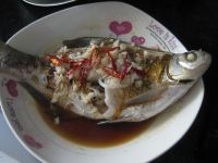 养生食谱大放送