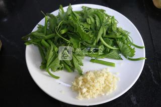 清炒<a href=/shicai/shucai/NanGua/index.html target=_blank><u>南瓜</u></a>藤