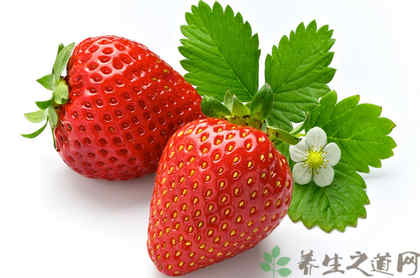 养胃的水果 养胃的水果