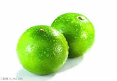 皇帝柑的功效与作用