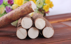 夏季补肾吃什么?10种食物最有效