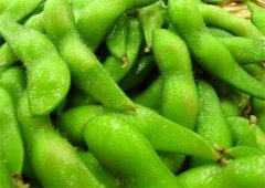 什么不能和毛豆一起吃