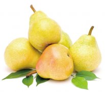 秋季孩子吃什么水果好