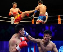 散打怎么打？散打的拳法