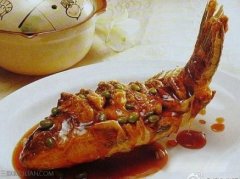 什么鱼的营养价值最高