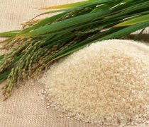【香米和大米的区别】香米的功效与作用_大米的功效与作用