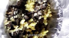 中国人的零:第三集大地的滋味