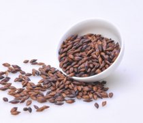 【大麦茶的功效与作用】大麦茶有副作用吗_大麦茶怎么泡