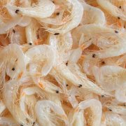 虾皮不能和什么同吃