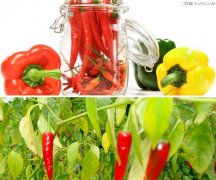 提高记忆力的食物有哪些