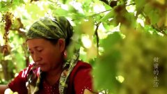 中国人的零食:第四集甜蜜的生活