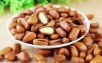 吃什么坚果对肾好