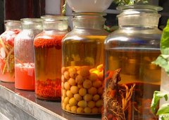 饮用药酒有哪些注意事项