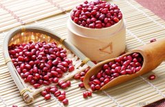 夏季祛湿排毒的食物有哪些