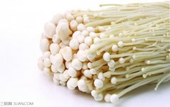 金针菇不能和什么一起吃