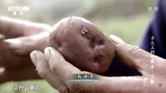 舌尖上的中国第二季:三餐