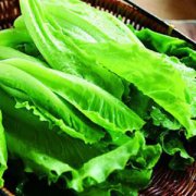 【生菜的营养价值】生菜的功效与作用